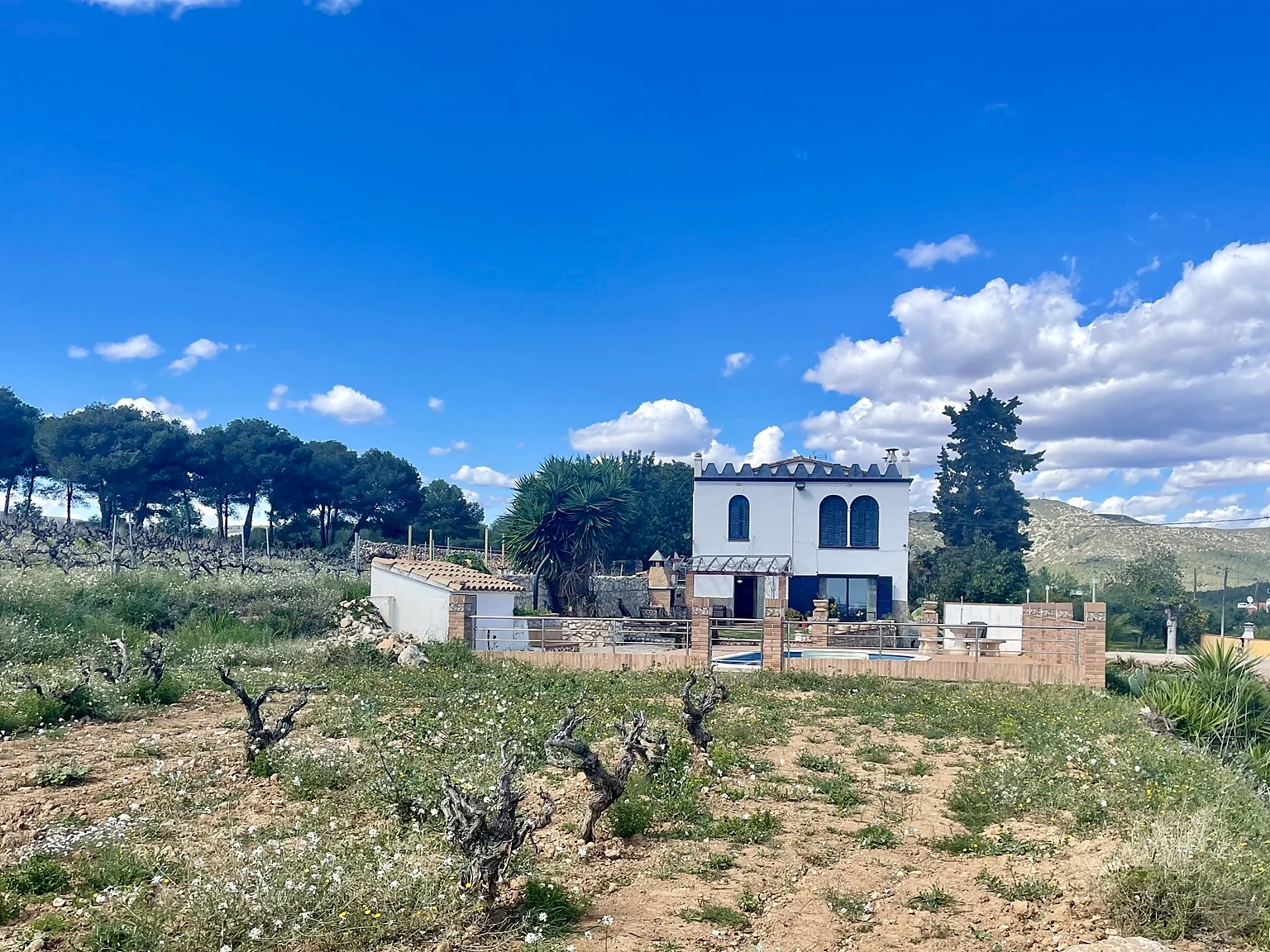 Masia St Salvador 1582 country house with pool surrounded by old-vine vineyards in Penedes wine region