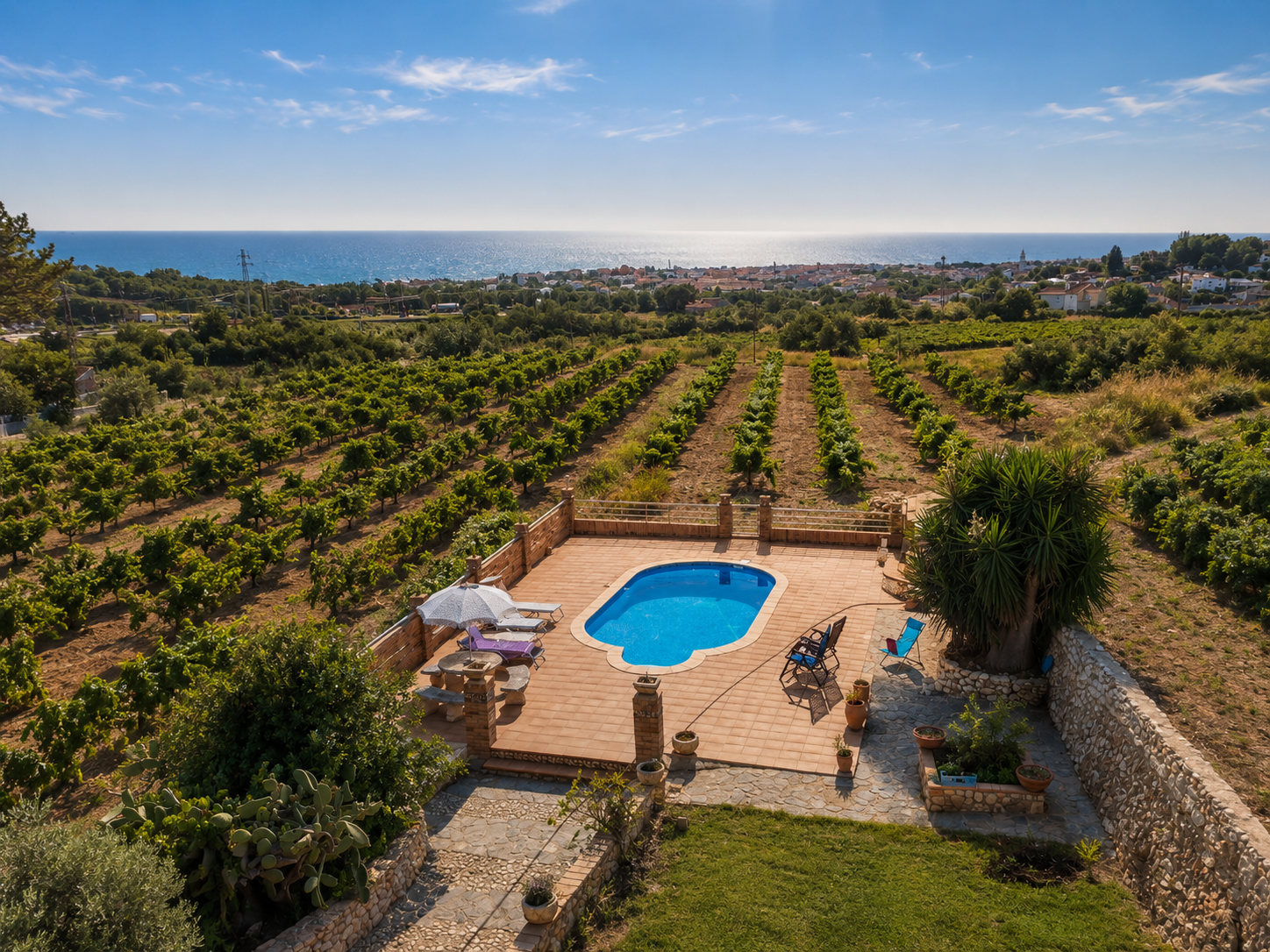 Aerial view of private swimming pool surrounded by vineyards with Mediterranean sea in the background at Masia St Salvador 1582